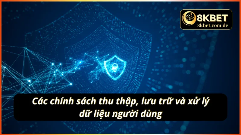 Các chính sách thu thập, lưu trữ và xử lý dữ liệu người dùng trong quyền riêng tư 8KBET