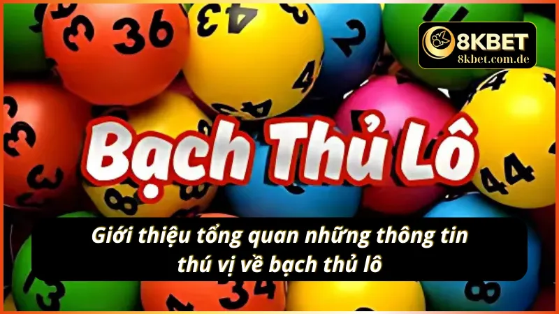 Giới thiệu tổng quan những thông tin thú vị về bạch thủ lô