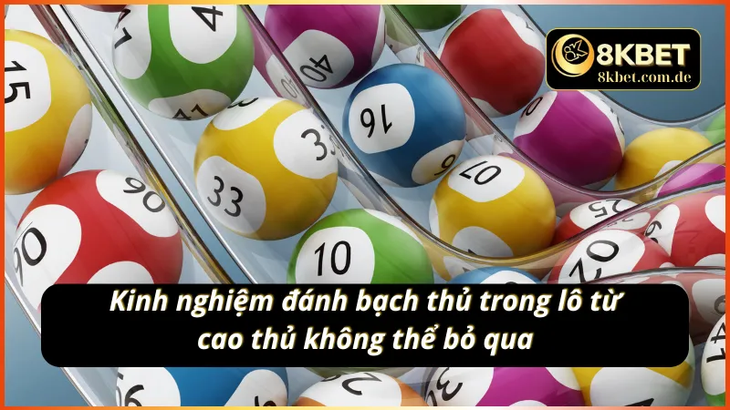 Kinh nghiệm đánh bạch thủ lô từ cao thủ không thể bỏ qua