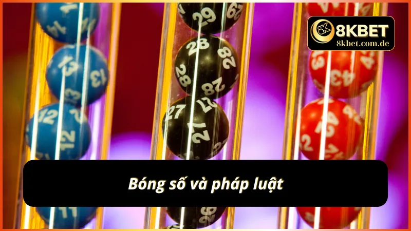 Bóng số và pháp luật