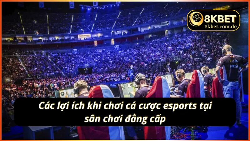 Ưu điểm khi chơi cá cược esports 8KBET