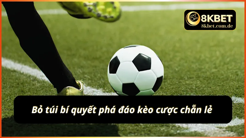 Phá đảo kèo cược chẵn lẻ cùng bí quyết bất hủ