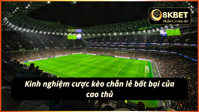 Học hỏi kinh nghiệm cao thủ - làm chủ kèo chẵn lẻ