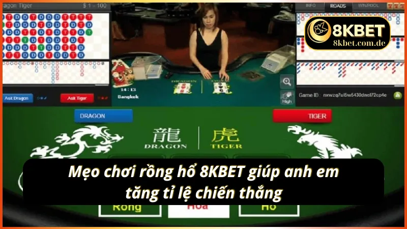 Một số mẹo chơi rồng hổ 8KBET giúp anh em cải thiện tỉ lệ thắng cược