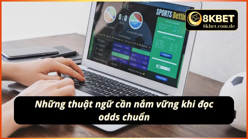 Cụm từ chuyên dụng cần nắm khi tỷ lệ cá độ hấp dẫn