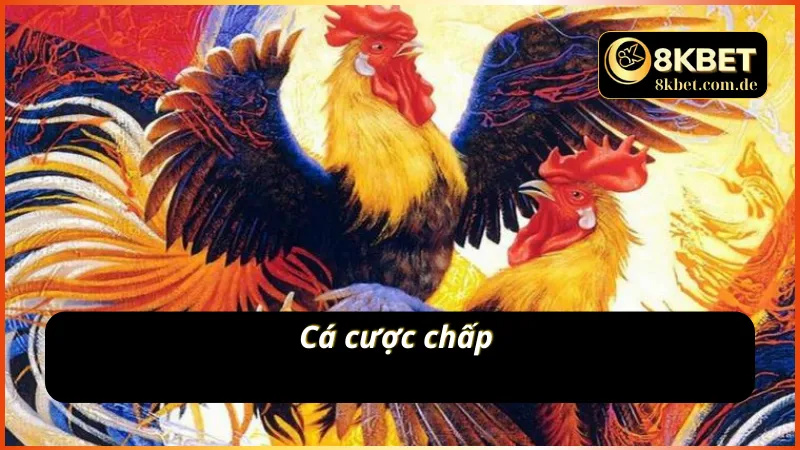 Sảnh cược cuốn hút người chơi của AOG đá gà 