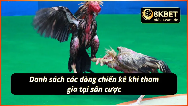 Những dòng gà chiến trong đá gà cựa dao 
