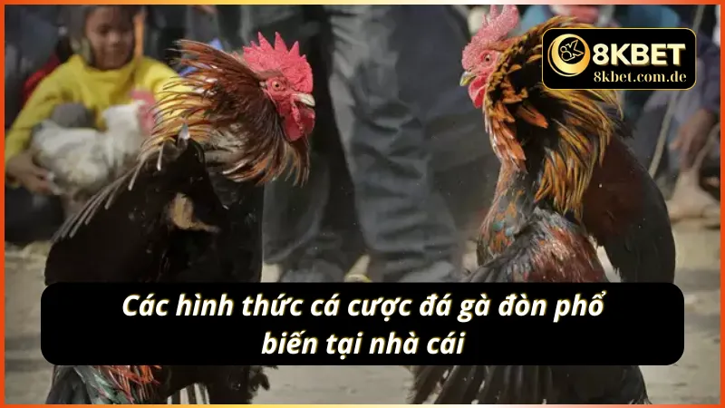 Một số hình thức cá cược đá gà đòn mà anh em nên biết