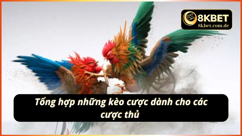 Bộ sưu tập kèo cược đa dạng của đá gà live 8KBET